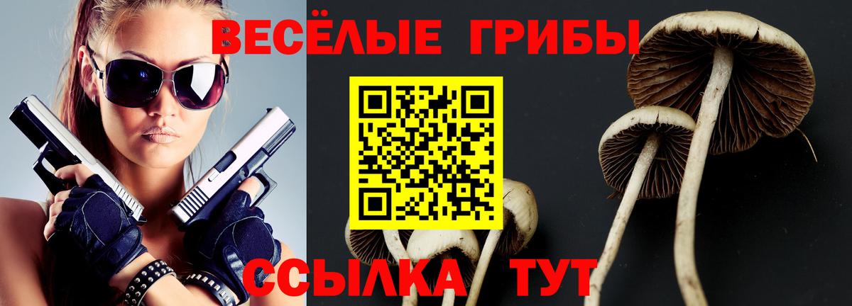 продажа наркотиков  Галлюциногенные грибы Cubensis  Вход с VPN  Елабуга 